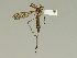  ( - 08PROBE-1429)  @13 [ ] Unspecified (default): All Rights Reserved  Unspecified Unspecified