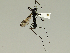  ( - 08PROBE-1434)  @12 [ ] Unspecified (default): All Rights Reserved  Unspecified Unspecified