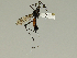  ( - 08PROBE-1435)  @12 [ ] Unspecified (default): All Rights Reserved  Unspecified Unspecified