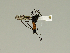  ( - 08PROBE-1436)  @13 [ ] Unspecified (default): All Rights Reserved  Unspecified Unspecified