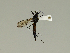  ( - 08PROBE-1437)  @13 [ ] Unspecified (default): All Rights Reserved  Unspecified Unspecified
