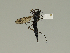  ( - 08PROBE-1438)  @12 [ ] Unspecified (default): All Rights Reserved  Unspecified Unspecified