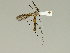  ( - 08PROBE-1443)  @13 [ ] Unspecified (default): All Rights Reserved  Unspecified Unspecified