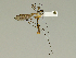  ( - 08PROBE-1444)  @13 [ ] Unspecified (default): All Rights Reserved  Unspecified Unspecified