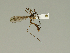  ( - 08PROBE-1446)  @12 [ ] Unspecified (default): All Rights Reserved  Unspecified Unspecified
