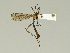  ( - 08PROBE-1449)  @13 [ ] Unspecified (default): All Rights Reserved  Unspecified Unspecified