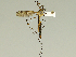  ( - 08PROBE-1472)  @13 [ ] Unspecified (default): All Rights Reserved  Unspecified Unspecified