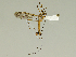  ( - 08PROBE-1473)  @13 [ ] Unspecified (default): All Rights Reserved  Unspecified Unspecified