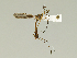  ( - 08PROBE-1475)  @13 [ ] Unspecified (default): All Rights Reserved  Unspecified Unspecified