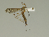  ( - 08PROBE-1481)  @13 [ ] Unspecified (default): All Rights Reserved  Unspecified Unspecified