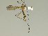  ( - 08PROBE-1486)  @13 [ ] Unspecified (default): All Rights Reserved  Unspecified Unspecified