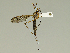  ( - 08PROBE-1496)  @13 [ ] Unspecified (default): All Rights Reserved  Unspecified Unspecified