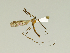 ( - 08PROBE-1497)  @13 [ ] Unspecified (default): All Rights Reserved  Unspecified Unspecified