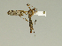  ( - 08PROBE-1499)  @13 [ ] Unspecified (default): All Rights Reserved  Unspecified Unspecified