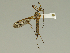  ( - 08PROBE-1501)  @13 [ ] Unspecified (default): All Rights Reserved  Unspecified Unspecified