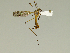  ( - 08PROBE-1502)  @13 [ ] Unspecified (default): All Rights Reserved  Unspecified Unspecified
