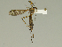  ( - 08PROBE-1505)  @13 [ ] Unspecified (default): All Rights Reserved  Unspecified Unspecified