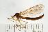  ( - 07PROBE-11023)  @12 [ ] CreativeCommons - Attribution (2008) Unspecified Centre for Biodiversity Genomics