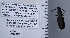  ( - PIMAUA0016)  @12 [ ] CreativeCommons - Attribution Non-Commercial Share-Alike (2017) Wendy Moore University of Arizona