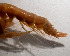  ( - T_22_08383)  @11 [ ] CreativeCommons  Attribution Non-Commercial (by-nc) (2023) Claude Nozère Maurice Lamontagne Institute
