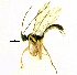  ( - HL-111)  @12 [ ] Unspecified (default): All Rights Reserved  Pham T. N. Unspecified