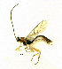 ( - HL-112)  @12 [ ] Unspecified (default): All Rights Reserved  Pham T. N. Unspecified