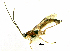  ( - HL-113)  @13 [ ] Unspecified (default): All Rights Reserved  Pham T. N. Unspecified