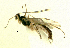  ( - HL-117)  @11 [ ] Unspecified (default): All Rights Reserved  Pham T. N. Unspecified