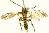  ( - Ich. 162)  @11 [ ] Unspecified (default): All Rights Reserved  Pham T. N. Unspecified