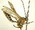  ( - Ich. 168)  @11 [ ] Unspecified (default): All Rights Reserved  Pham T. N. Unspecified
