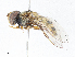  ( - CBG-A07119-B11)  @11 [ ] CreativeCommons - Attribution Share-Alike (2023) CBG Photography Group Centre for Biodiversity Genomics