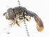 ( - CBG-A07119-C06)  @11 [ ] CreativeCommons - Attribution Share-Alike (2023) CBG Photography Group Centre for Biodiversity Genomics