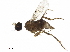  ( - BIOUG44494-G07)  @11 [ ] CreativeCommons - Attribution (2019) CBG Photography Group Centre for Biodiversity Genomics