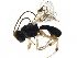  ( - BIOUG44551-E11)  @13 [ ] CreativeCommons - Attribution (2019) CBG Photography Group Centre for Biodiversity Genomics