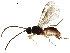  ( - BIOUG44131-E01)  @11 [ ] CreativeCommons - Attribution (2019) CBG Photography Group Centre for Biodiversity Genomics
