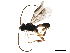  ( - BIOUG44134-G02)  @11 [ ] CreativeCommons - Attribution (2019) CBG Photography Group Centre for Biodiversity Genomics