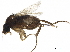  ( - BIOUG44572-B05)  @11 [ ] CreativeCommons - Attribution (2019) CBG Photography Group Centre for Biodiversity Genomics