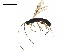  ( - BIOUG44172-E05)  @11 [ ] CreativeCommons - Attribution (2019) CBG Photography Group Centre for Biodiversity Genomics