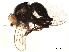  ( - BIOUG44734-B08)  @11 [ ] CreativeCommons - Attribution (2019) CBG Photography Group Centre for Biodiversity Genomics