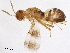  ( - BIOUG44737-G09)  @11 [ ] CreativeCommons - Attribution (2019) CBG Photography Group Centre for Biodiversity Genomics