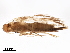  ( - BIOUG44742-G09)  @11 [ ] CreativeCommons - Attribution (2019) CBG Photography Group Centre for Biodiversity Genomics