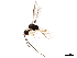  ( - BIOUG44164-B08)  @11 [ ] CreativeCommons - Attribution (2019) CBG Photography Group Centre for Biodiversity Genomics