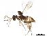  ( - BIOUG44719-A11)  @13 [ ] CreativeCommons - Attribution (2020) CBG Photography Group Centre for Biodiversity Genomics