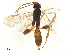  ( - BIOUG49359-C09)  @11 [ ] CreativeCommons - Attribution Share - Alike (2025) CBG Photography Group Centre for Biodiversity Genomics