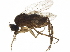  ( - BIOUG44405-E10)  @11 [ ] CreativeCommons - Attribution (2019) CBG Photography Group Centre for Biodiversity Genomics