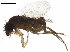  ( - BIOUG44415-A07)  @11 [ ] CreativeCommons - Attribution (2019) CBG Photography Group Centre for Biodiversity Genomics