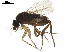  ( - BIOUG44339-D12)  @11 [ ] CreativeCommons - Attribution (2019) CBG Photography Group Centre for Biodiversity Genomics