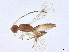  ( - BIOUG49650-C12)  @11 [ ] CreativeCommons - Attribution (2022) CBG Photography Group Centre for Biodiversity Genomics