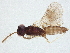  ( - BIOUG49948-E10)  @14 [ ] CreativeCommons - Attribution (2022) CBG Photography Group Centre for Biodiversity Genomics