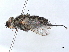  ( - BIOUG49434-H06)  @11 [ ] CreativeCommons - Attribution (2020) CBG Photography Group Centre for Biodiversity Genomics